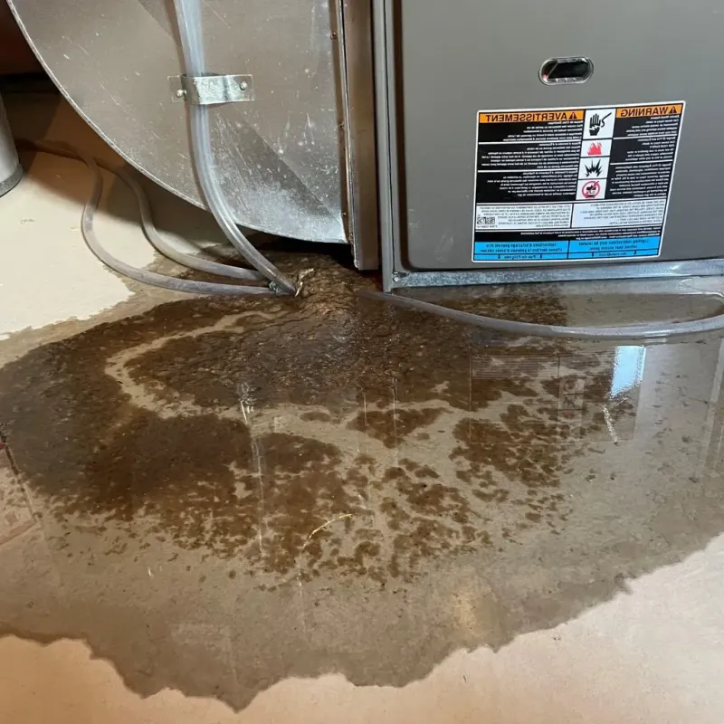 Pipe Burst and Leak Restoration in Ouray, CO